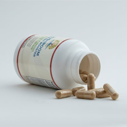 Mushroom Immune Booster