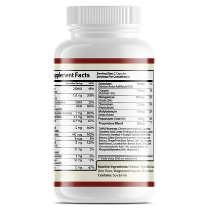 Neuro Plus Brain & Focus